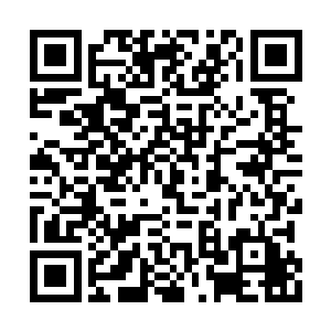 难怪杨建军会说出或许并不需要他做出选择的话二维码生成