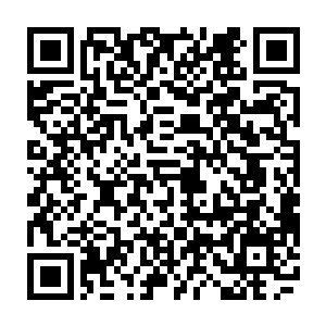 难怪洪大力一看到李维斯如今的状态就知道他在试练塔里面是真的没少修炼二维码生成
