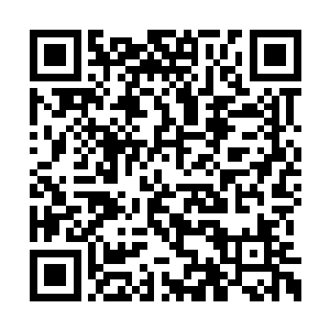 难怪狐狸长的这么漂亮都是泡这里的水泡出来的二维码生成