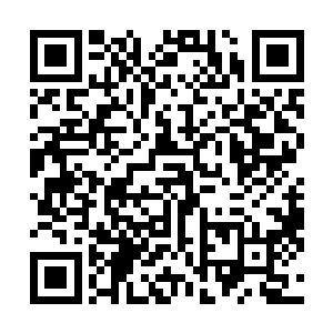 难怪王世子之前说他们的新产品将会颠覆整个业界生态呢二维码生成