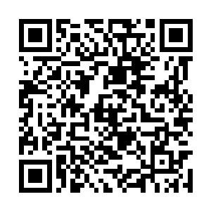 难怪生命之源能够引起上古洪荒无数至强者的争夺二维码生成