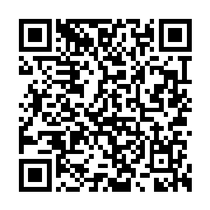 难怪老大这么放心的把两个孩子给放置到这边来二维码生成