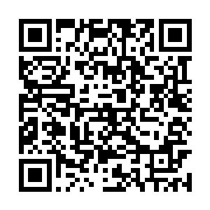 难怪老师一直说不是每个人都会成为杰出的制作人二维码生成