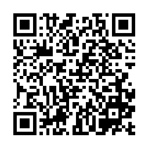难怪钟家三老爷夫妻在她面前表现得那般的意气高昂二维码生成