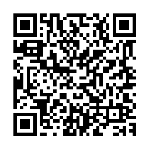 难怪银发男子如此如此胆大包天的在大庭广众之下强行拉扯女人二维码生成