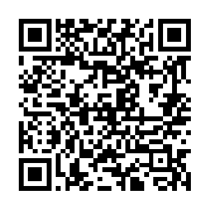 难怪马文一直觉得这家伙丢神术的时候缩手缩脚的二维码生成