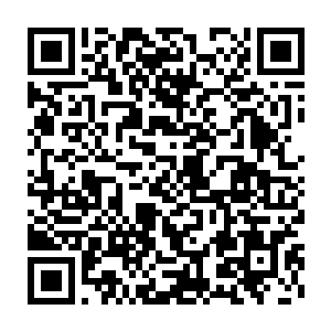 难道……之前几次为我疗伤的那个人……根本就不是什么隐世高人二维码生成