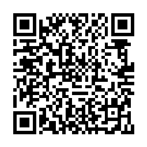 难道……这个铸剑炉里面曾经使用过四象琉璃火二维码生成