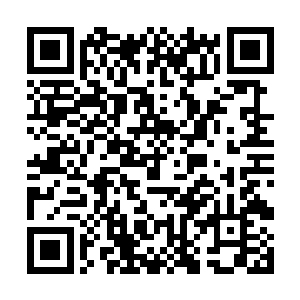 难道……这就是千雨所说的疑似蛟龙血脉的奇异血脉二维码生成