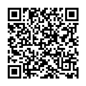 难道一个结丹期的许紫烟要比整个太玄宗还来的重要吗二维码生成