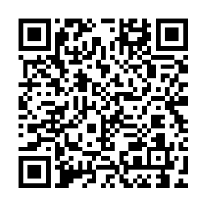 难道一直到现在他们的尸体和那个仓库的异常还没有被人发现吗二维码生成