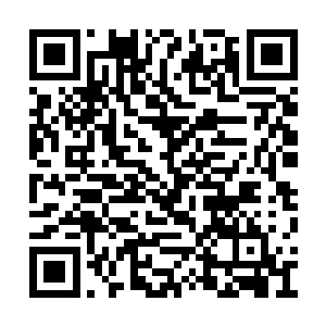 难道不知道我纵横山脉禁止任何人族之人踏入吗二维码生成