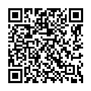难道也是自己平时流失的这些意识能量被无漏果转化吸收的缘故二维码生成