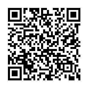 难道五大天帝就必须等你羽翼丰满才开始战斗嘛二维码生成