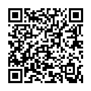 难道五行旗和白眉鹰王殷天正也和他同流合污了吗二维码生成