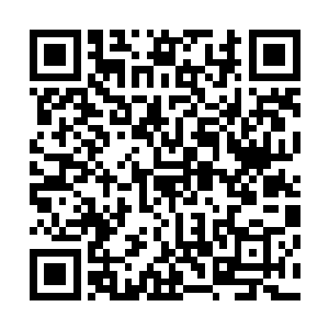 难道他们十几人今天到这个地方会和诛仙弓现世有什么关联二维码生成