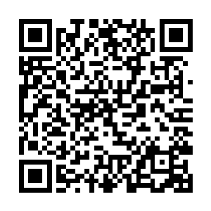 难道他们觉得仅凭两个大乘后期的强者就可以击杀我二维码生成