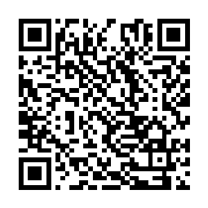 难道他们认为仅凭一个渡劫期强者就可以解决我们二维码生成