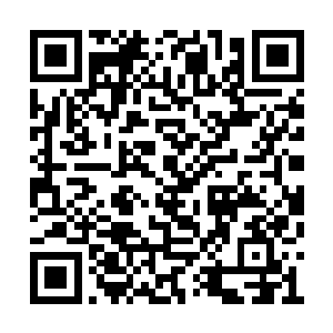 难道他们这一系真的要接收到前所未有的磨难吗二维码生成