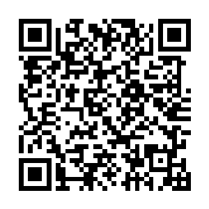 难道他们都不记得我们樊家兄弟是怎么在云端城立足的吗二维码生成