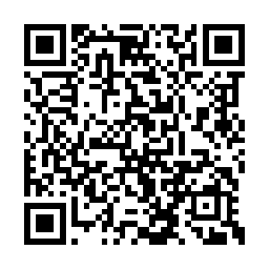 难道他是某个强大势力暗中培养出来的天才弟子二维码生成