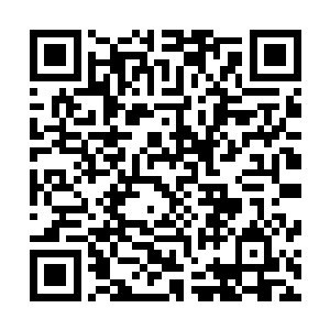 难道他林青还敢当着如此多人的面杀死自己的同门师弟不成二维码生成