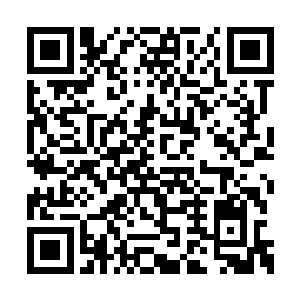 难道仙界依旧处于混沌兽和域外天魔的肆虐之下二维码生成