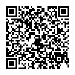 难道以为这箱子里携带了什么大量的武器还是不可告人的间谍武器二维码生成