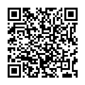 难道传说中的第一大股东是想把自己当成替罪羔羊出头鸟了吗二维码生成