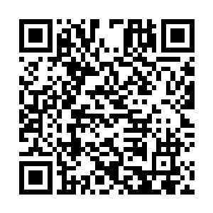 难道作为大师兄就这样让一个一岁多点儿的小师弟失望二维码生成