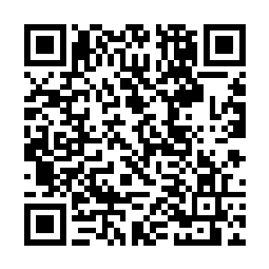 难道你不好奇我每天在外面跑来跑去到底在做什么吗二维码生成