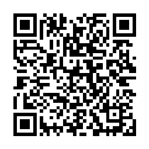 难道你不知道你这种实力去了那种危险的地方就只能送死吗二维码生成