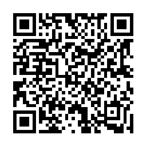 难道你不知道我们的实验正好到了一个关键性的阶段么二维码生成