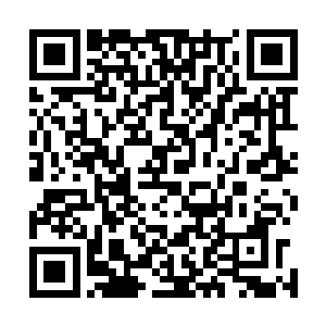 难道你不知道无缘无故试探他人实力是件很没有礼貌的事情二维码生成