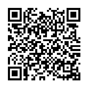 难道你不知道罗天正那个家伙住在哪一间宅子里面二维码生成