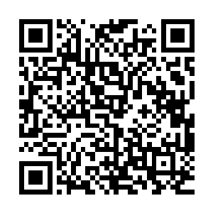 难道你今天召集我等就是为了大地族族长和许紫烟之间的事情二维码生成