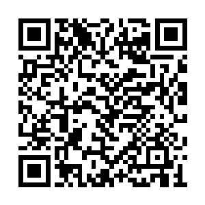 难道你们不怕我伤好后去把关白那条手臂也砍了二维码生成