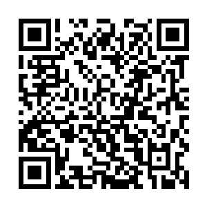 难道你们不觉得外面的凶兽暴潮来得太蹊跷了一些吗二维码生成