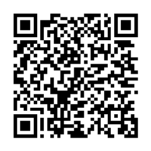 难道你们不觉得lcd的这个新中单这几波下来发挥非常亮眼嘛二维码生成