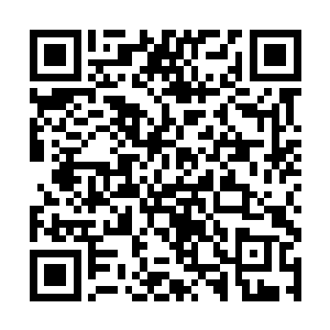 难道你们人类能够把自己身体的所有问题都搞明白吗二维码生成