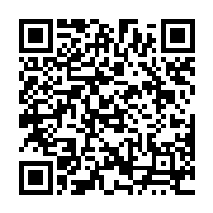 难道你们就不能想想是有人不愿意让我坐上家主的位置二维码生成