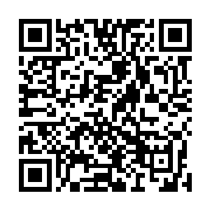 难道你们就从來沒有怀疑过虎王所说的话究竟是不是真的二维码生成