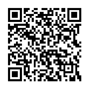 难道你们就是以这样的态度来迎接你们帮手的吗二维码生成