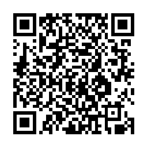 难道你们希望宋道友用在场的其中一位修士顶替赤冠雕二维码生成