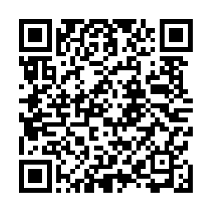 难道你们忘了我们天元大陆和你们兽神大陆之间的约定吗二维码生成