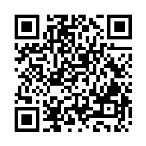 难道你们没有一个人怀疑小白龟的真假吗二维码生成