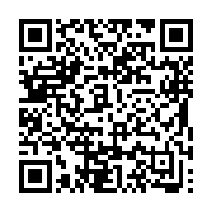 难道你在对小孩女人挥下屠刀的时候没感到可耻吗二维码生成