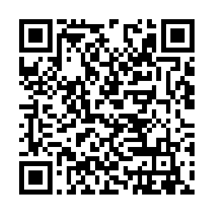 难道你就不怕哪天不小心把自己家的祖坟都给挖了二维码生成