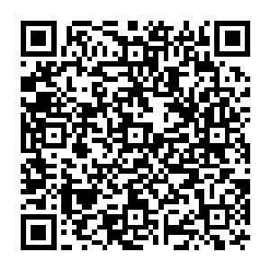 难道你就不想知道究竟是什么东西害的我们吗如果你想要知道答案的话就跟着我来吧二维码生成
