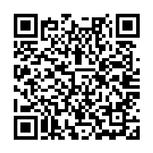 难道你就打算靠着这四个小宠物和我的大军抗衡吗二维码生成